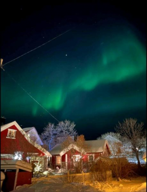Nydelig hytte i Kabelvåg Lofoten